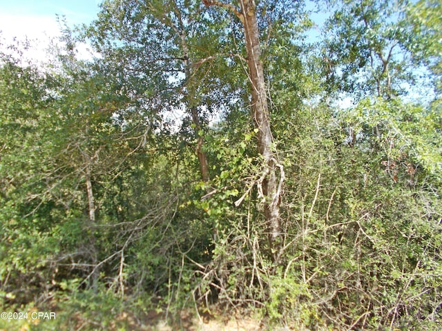 LOT27 Southern Blvd, Alford FL, 32420 land for sale