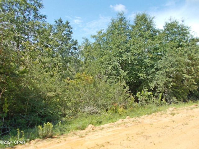 Listing photo 2 for LOT10 Laurel Dr, Alford FL 32420