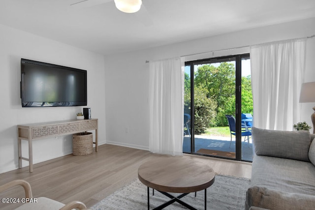 living room featuring light hardwood / wood-style flooring