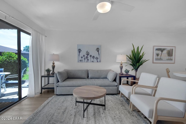 living room with ceiling fan and light hardwood / wood-style floors