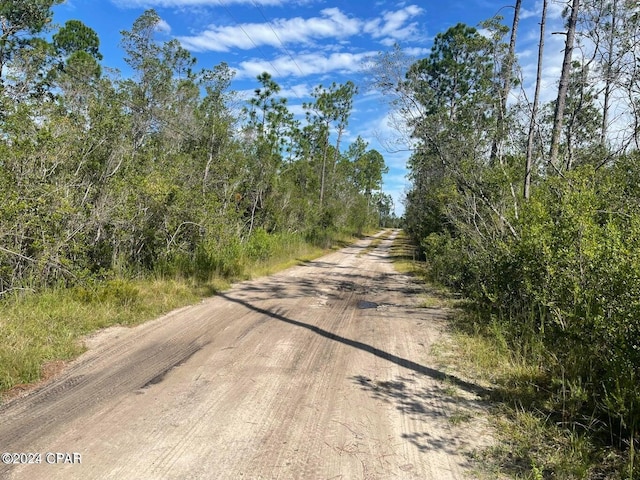 0000 Plum Nearly Rd, Fountain FL, 32438 land for sale