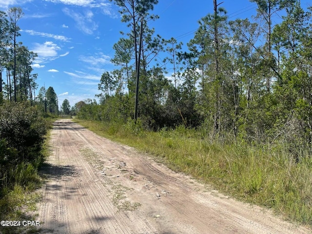 Listing photo 2 for 0000 Plum Nearly Rd, Fountain FL 32438