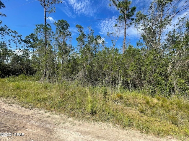 Listing photo 3 for 0000 Plum Nearly Rd, Fountain FL 32438