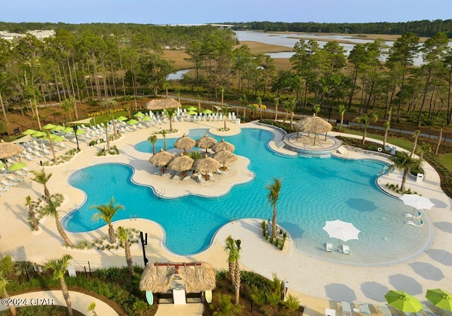 view of pool featuring a patio