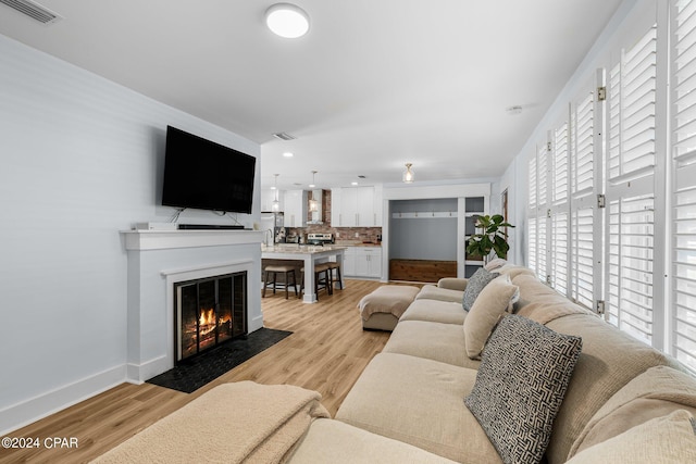 living room with light hardwood / wood-style flooring