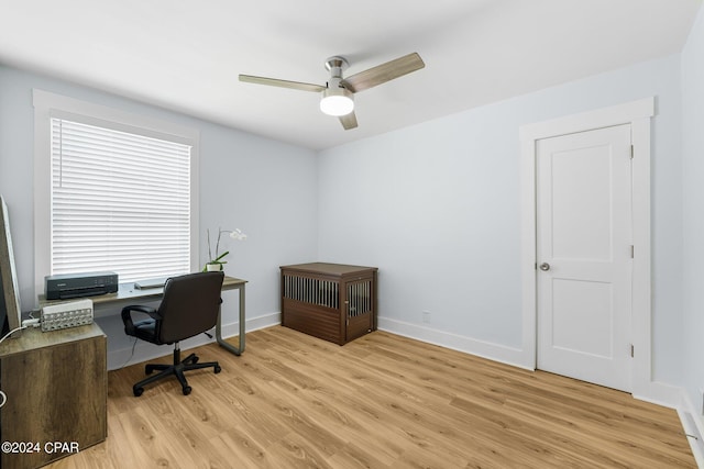 office area featuring ceiling fan and light hardwood / wood-style flooring