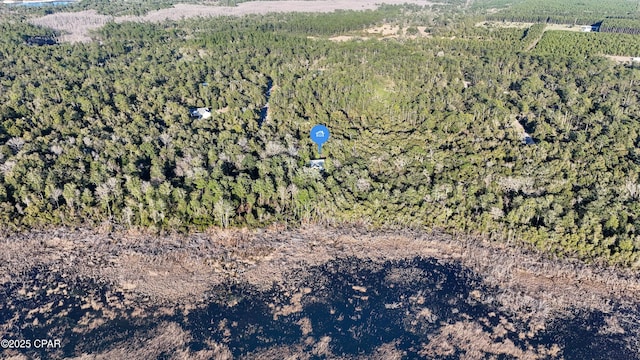 birds eye view of property with a view of trees