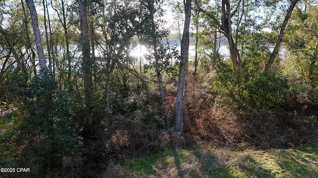 view of landscape featuring a water view and a wooded view