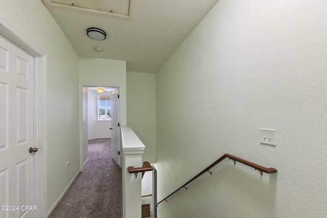 hallway featuring carpet flooring