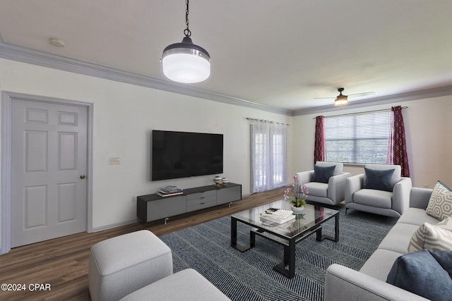 living room featuring dark hardwood / wood-style flooring, ornamental molding, and ceiling fan