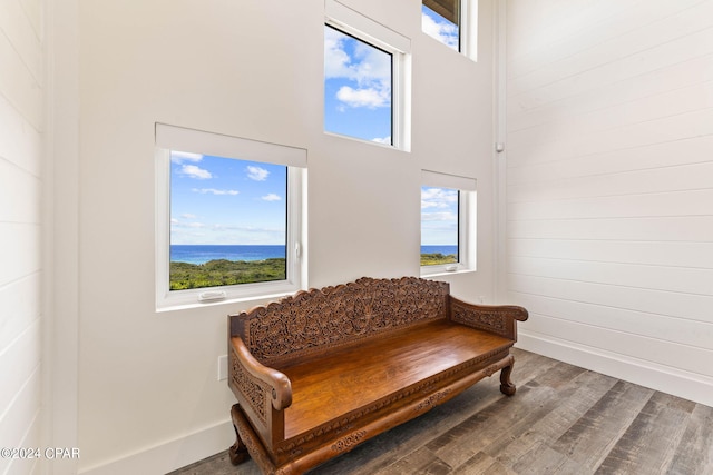 living area with a wealth of natural light, a water view, and wood-type flooring