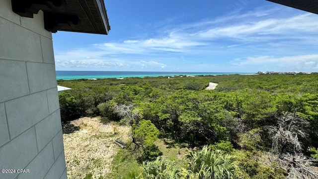 view of yard featuring a water view