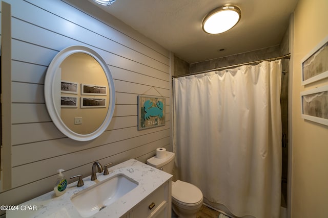 bathroom featuring wood walls, toilet, and vanity