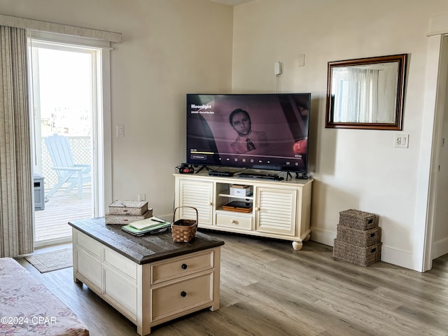 living room featuring light hardwood / wood-style floors