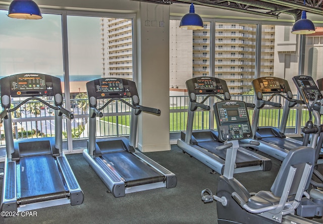 exercise room featuring plenty of natural light