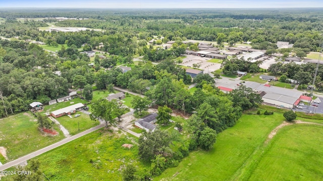 bird's eye view