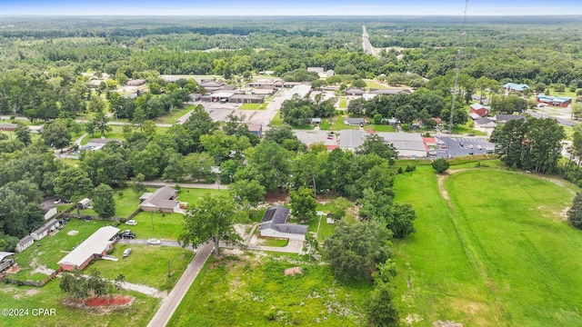 bird's eye view