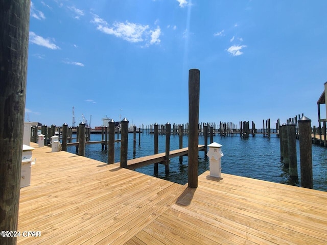 dock area with a water view