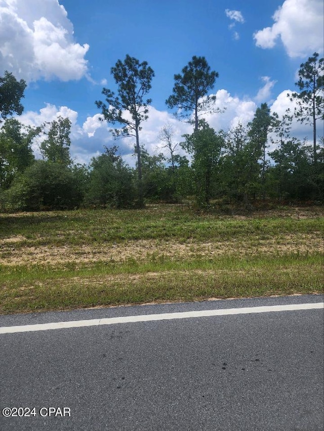 Listing photo 3 for LOT6 Buckhorn Blvd, Chipley FL 32428