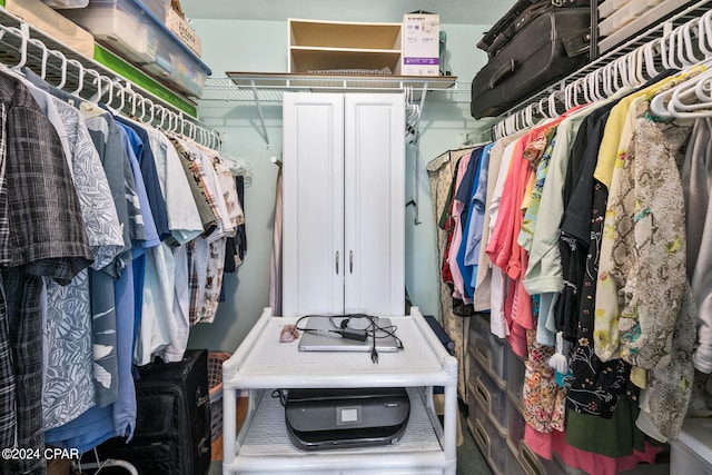 view of spacious closet