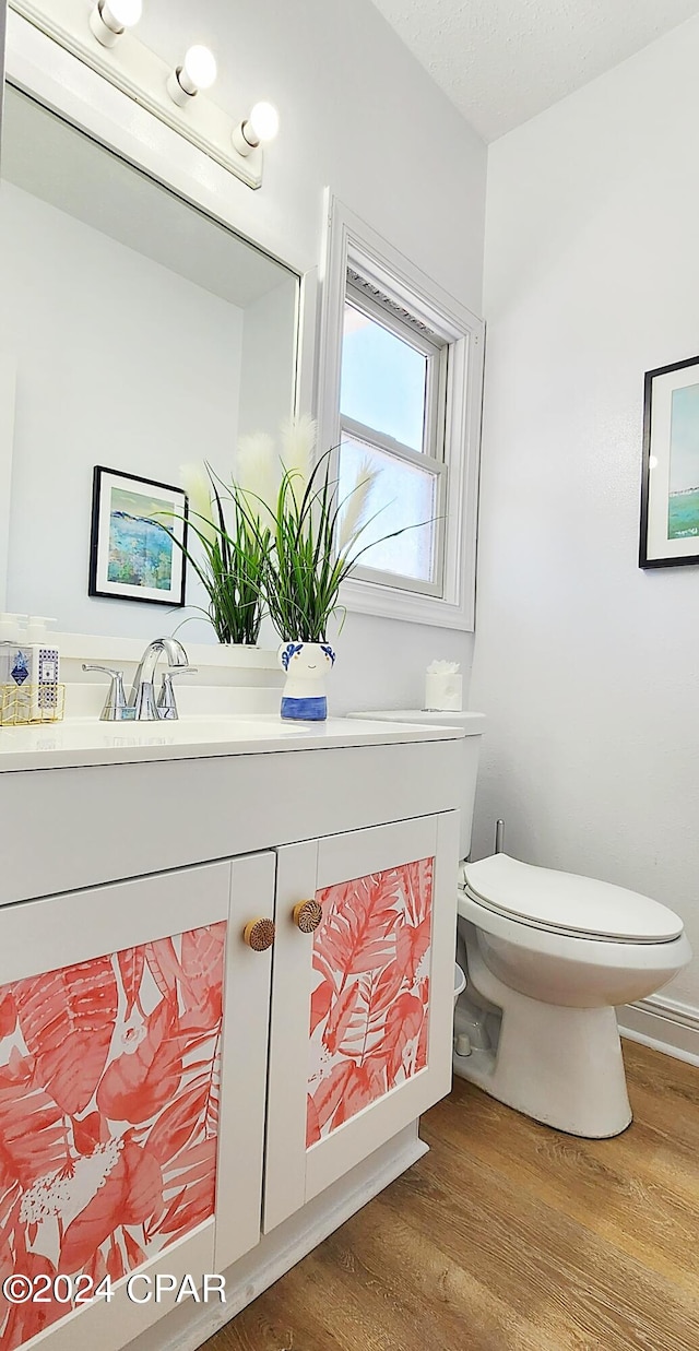 bathroom with wood-type flooring, vanity, and toilet