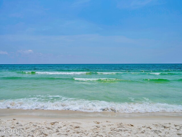 water view featuring a beach view