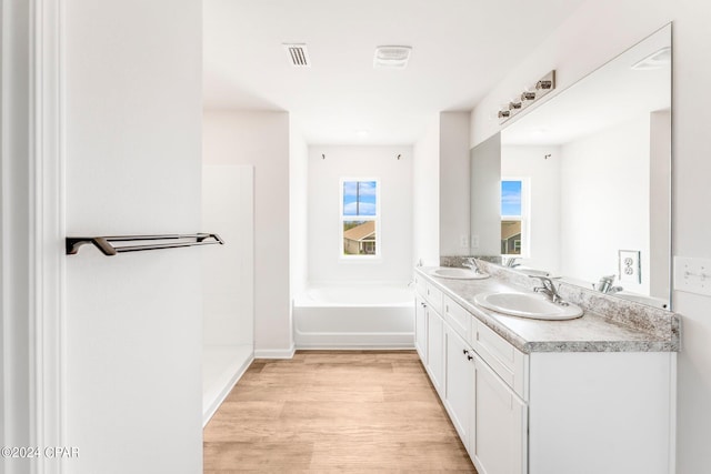 bathroom featuring a washtub, wood-type flooring, and double sink vanity