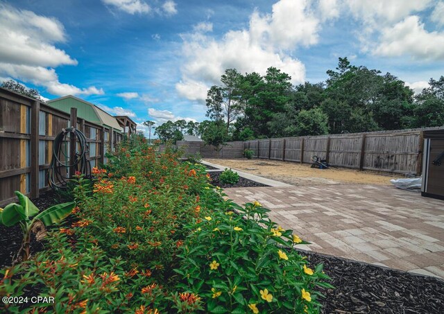 view of yard featuring a patio