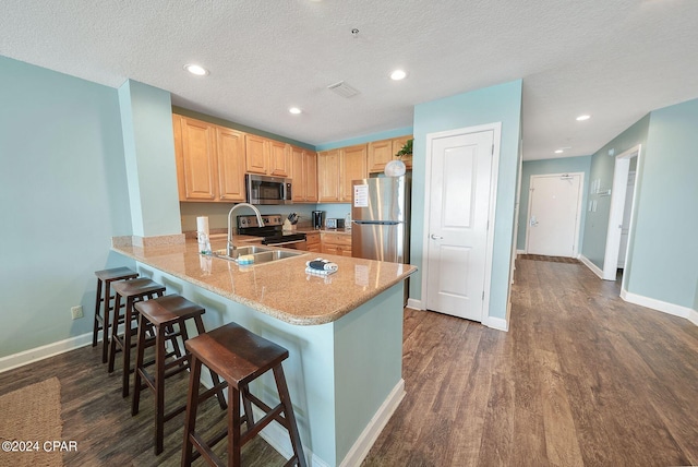 kitchen with dark hardwood / wood-style floors, stainless steel appliances, a textured ceiling, and light brown cabinets