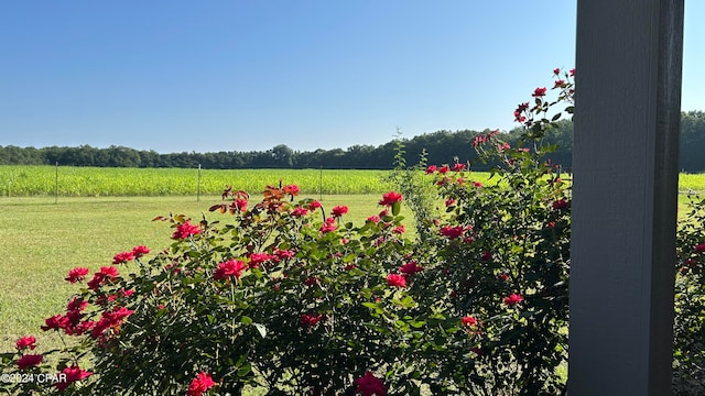 view of yard featuring a rural view