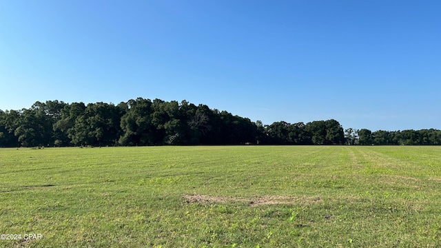 view of local wilderness featuring a rural view