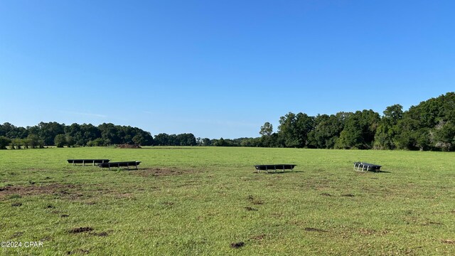 view of landscape featuring a rural view