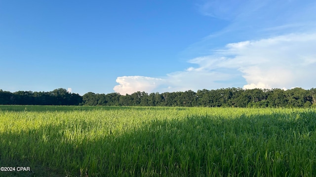 view of landscape