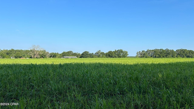 view of nature