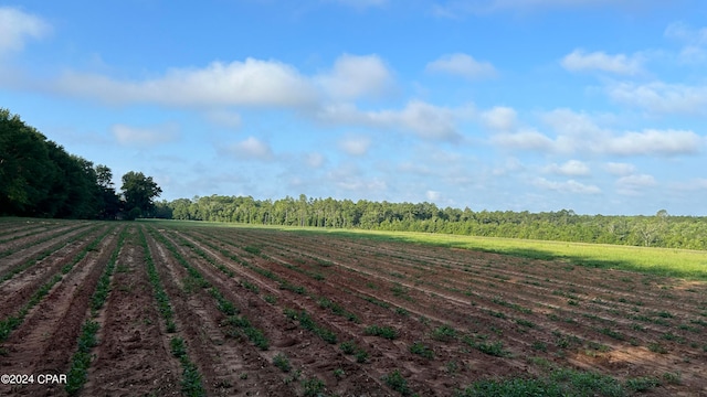 view of yard with a rural view