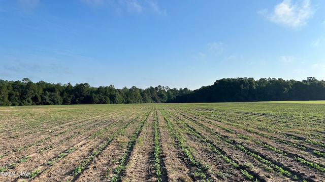 view of yard featuring a rural view