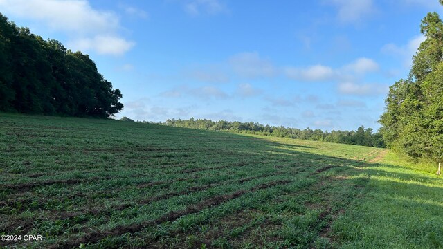 view of yard featuring a rural view