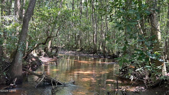 view of nature with a water view