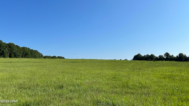 view of local wilderness with a rural view