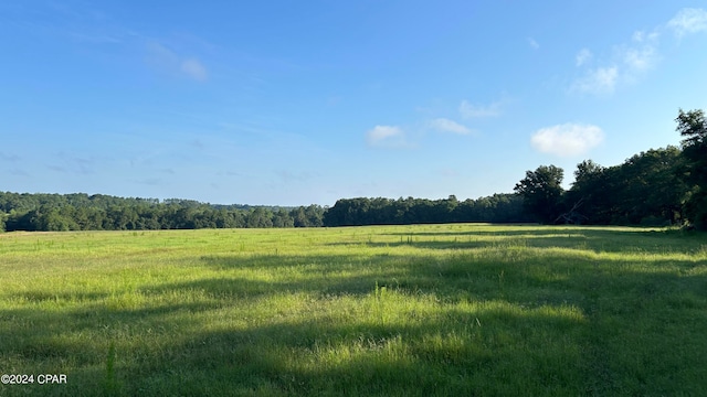 view of nature with a rural view