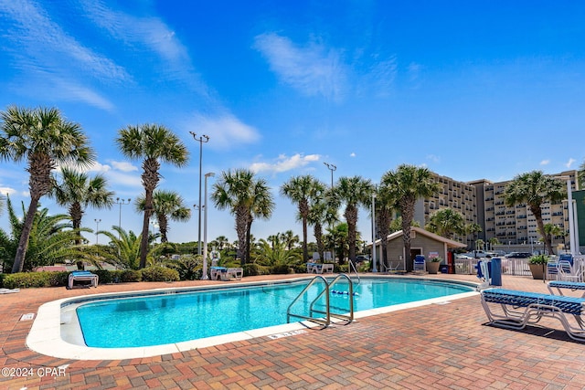 view of pool featuring a patio