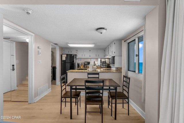 dining area with sink, light wood-type flooring, and a textured ceiling