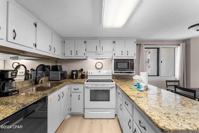 kitchen with white range with electric stovetop, sink, light stone counters, dishwasher, and stainless steel microwave