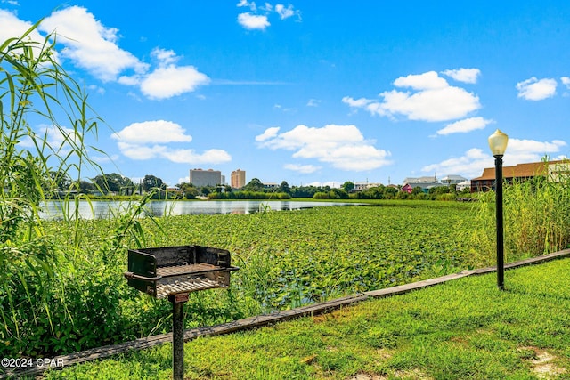 view of property's community with a water view and a yard