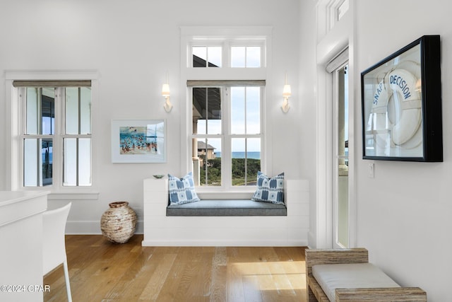 entryway with hardwood / wood-style floors