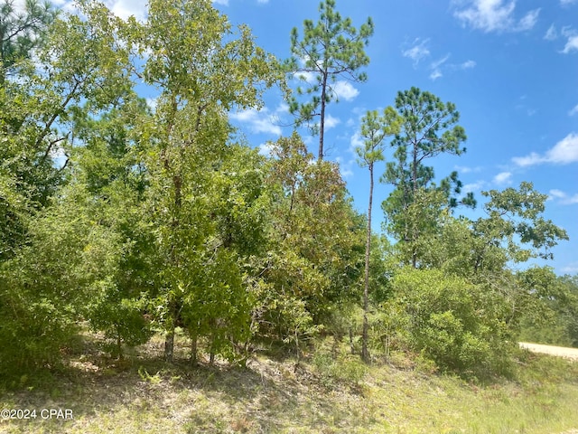 LOT13 Noble Cir, Alford FL, 32420 land for sale