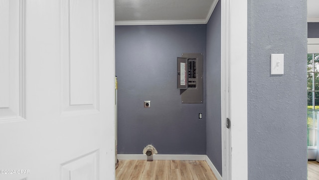 washroom with hookup for an electric dryer, light hardwood / wood-style flooring, ornamental molding, and electric panel