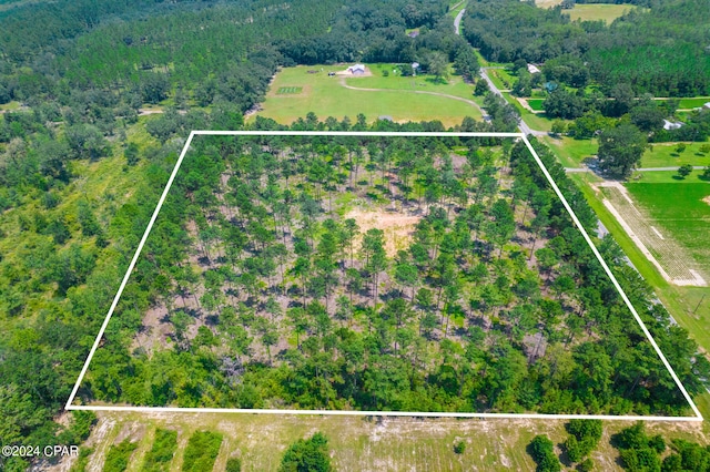 4000 Wilderness Rd, Vernon FL, 32462 land for sale