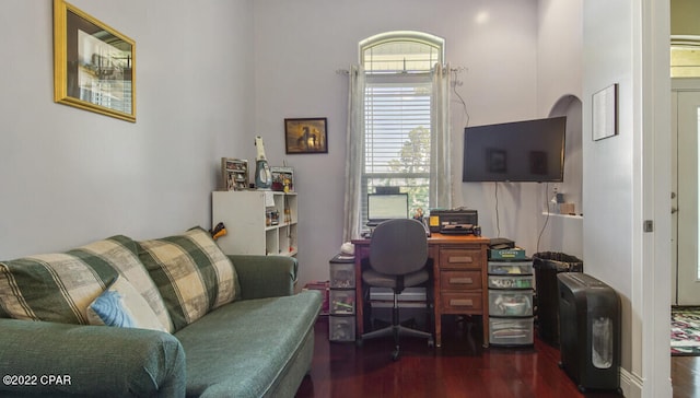 office featuring dark hardwood / wood-style flooring