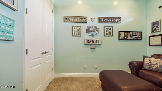 living area featuring carpet